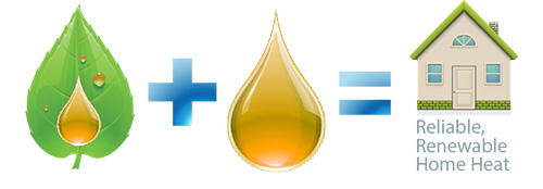 bioheat-image-with-house